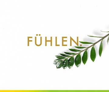 Fuehlen logo