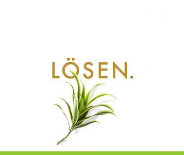 Loesen logo